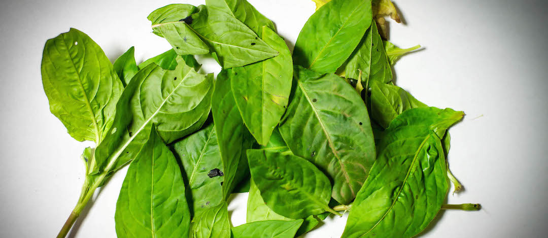 チクチクしないシルクのセーター・帽子・マフラー/肌にやさいいネット通販のシーズニット