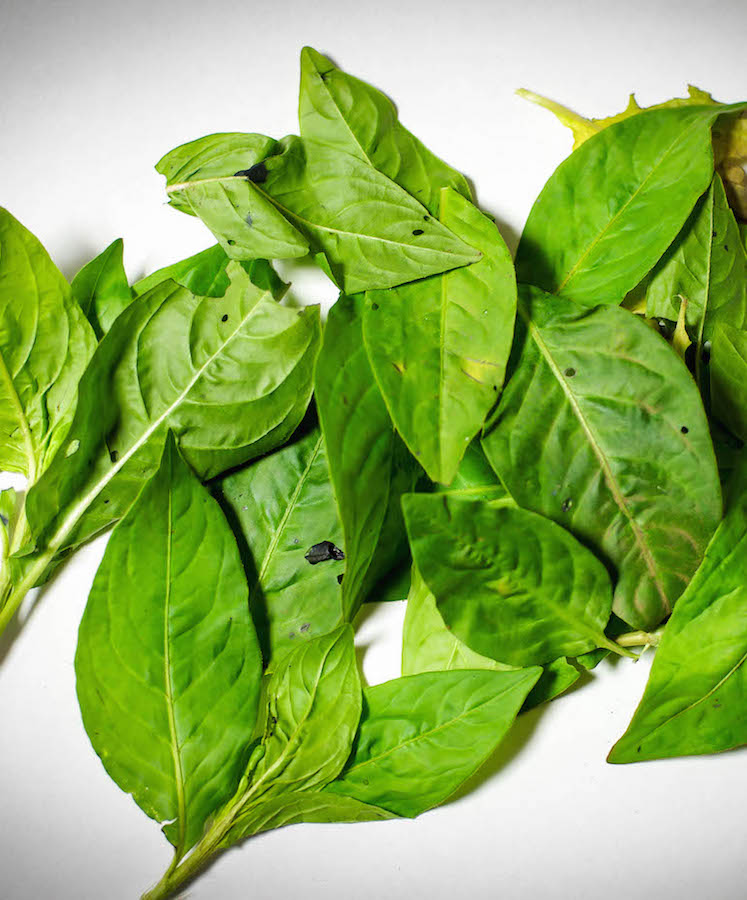 チクチクしないシルクのセーター・帽子・マフラー/肌にやさいいネット通販のシーズニット